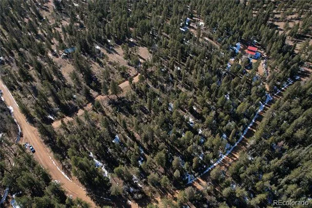 927 Forest Drive Bailey, CO 80421