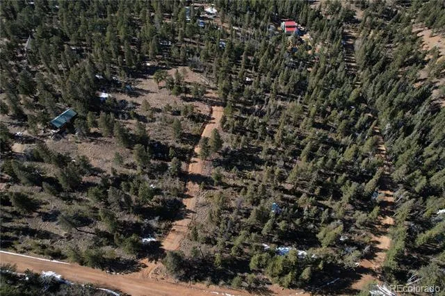 927 Forest Drive Bailey, CO 80421