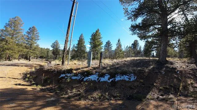 927 Forest Drive Bailey, CO 80421