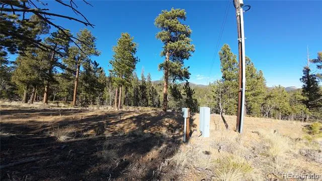 927 Forest Drive Bailey, CO 80421