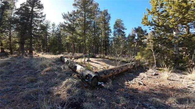 927 Forest Drive Bailey, CO 80421