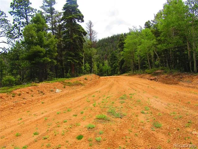 LOT 6029 Spruce Road San Luis, CO 81152