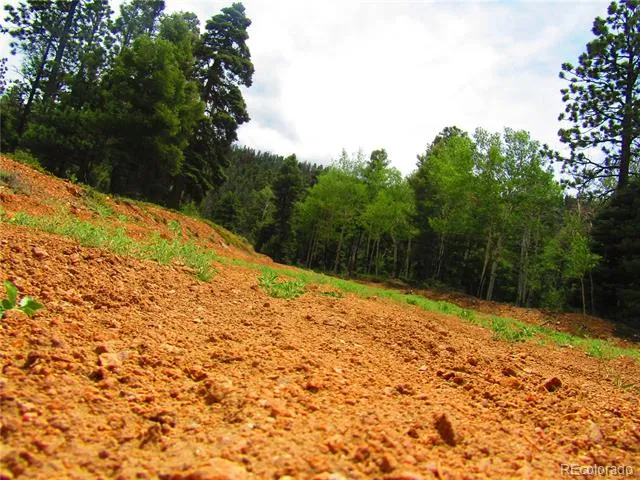 LOT 6029 Spruce Road San Luis, CO 81152