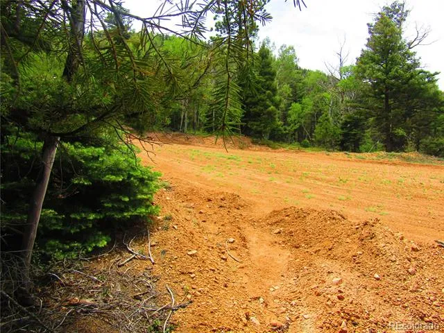 LOT 6029 Spruce Road San Luis, CO 81152