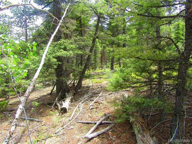 LOT 6029 Spruce Road San Luis, CO 81152