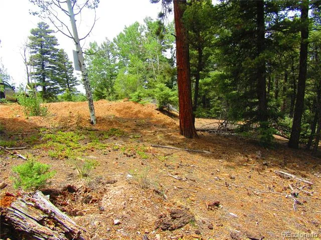 LOT 6029 Spruce Road San Luis, CO 81152