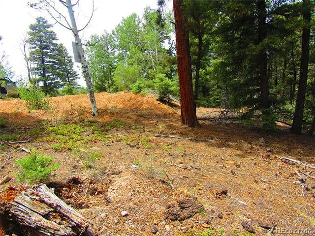 LOT 6029 Spruce Road San Luis, CO 81152