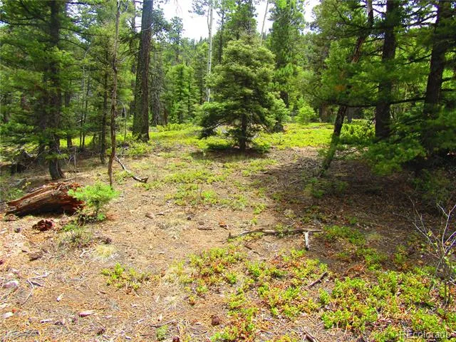 LOT 6029 Spruce Road San Luis, CO 81152