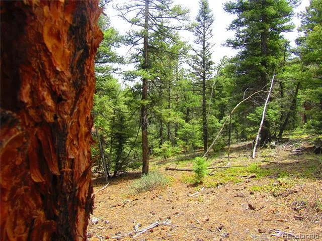 LOT 6029 Spruce Road San Luis, CO 81152