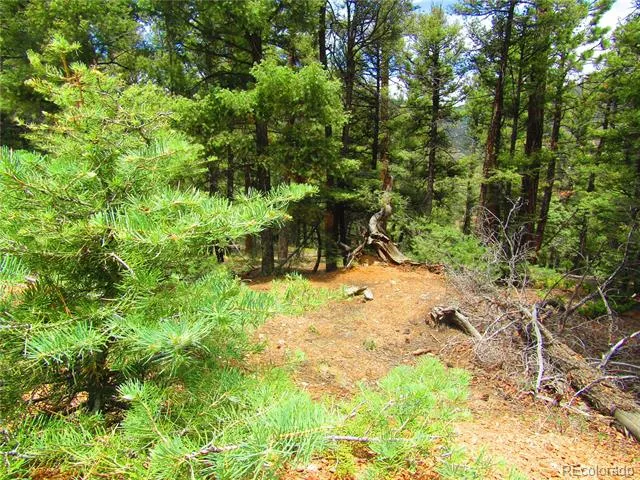 LOT 6029 Spruce Road San Luis, CO 81152