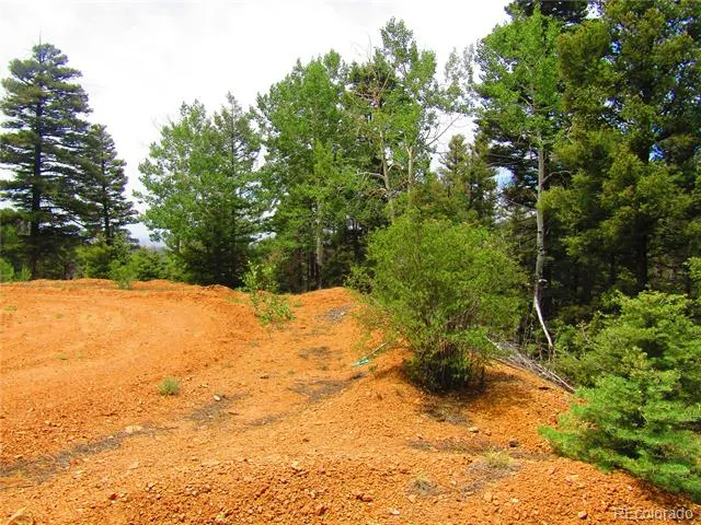 LOT 6029 Spruce Road San Luis, CO 81152