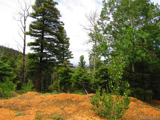 LOT 6029 Spruce Road San Luis, CO 81152