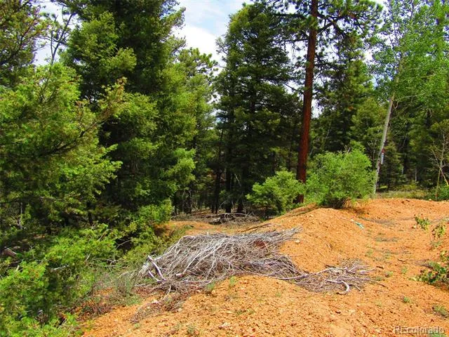LOT 6029 Spruce Road San Luis, CO 81152