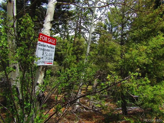 LOT 6029 Spruce Road San Luis, CO 81152