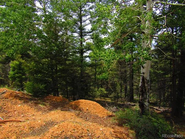 LOT 6029 Spruce Road San Luis, CO 81152