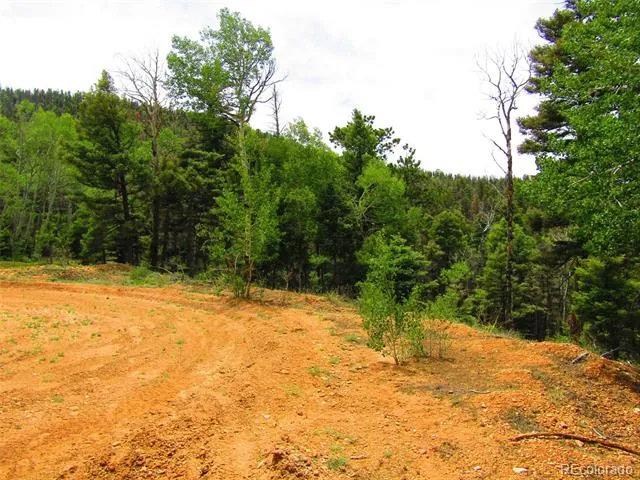 LOT 6029 Spruce Road San Luis, CO 81152