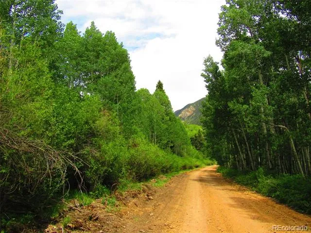 LOT 6029 Spruce Road San Luis, CO 81152