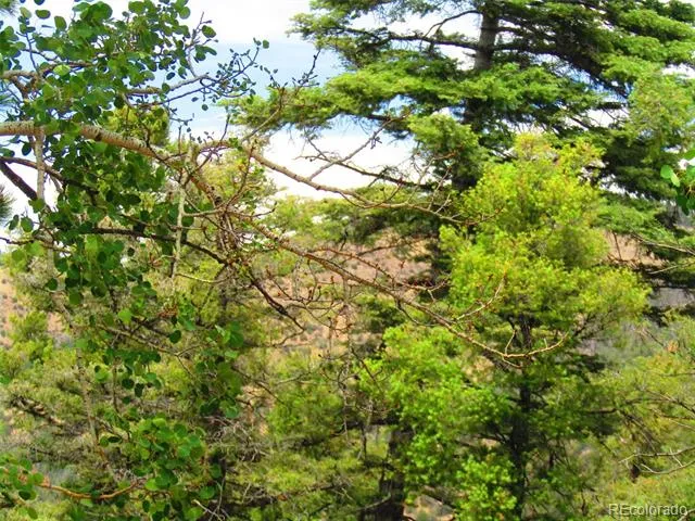 LOT 6029 Spruce Road San Luis, CO 81152