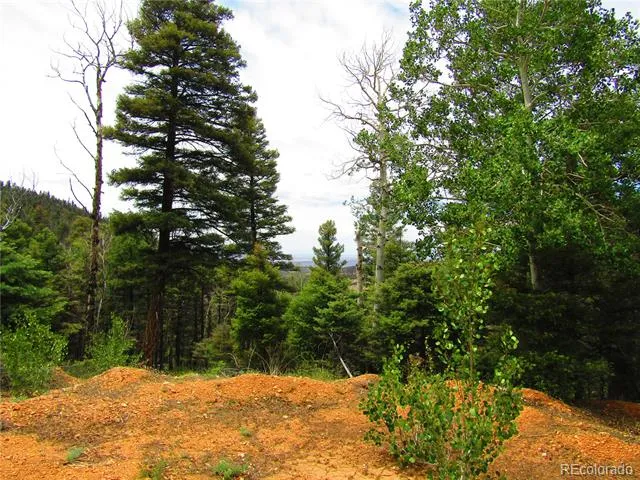 LOT 6029 Spruce Road San Luis, CO 81152