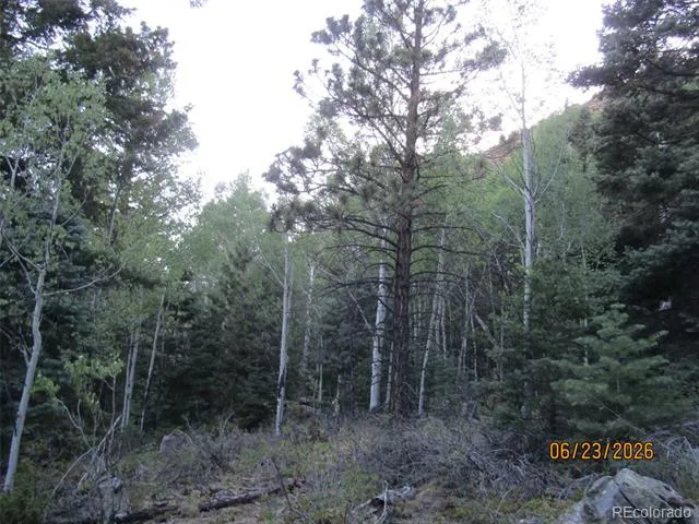 LOT 6029 Spruce Road San Luis, CO 81152