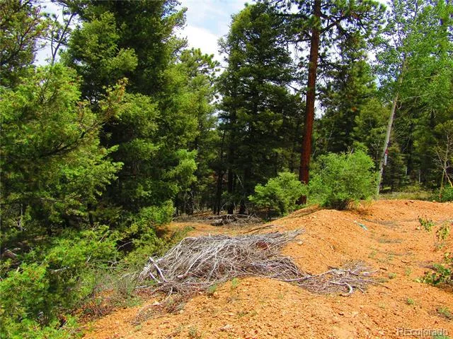 LOT 6029 Spruce Road San Luis, CO 81152