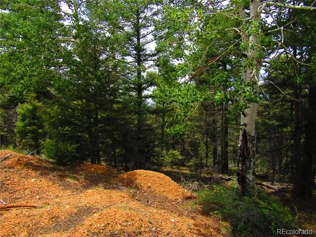 LOT 6029 Spruce Road San Luis, CO 81152
