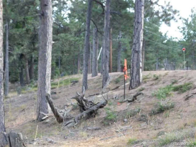 13910 Boulder Lane Larkspur, CO 80118