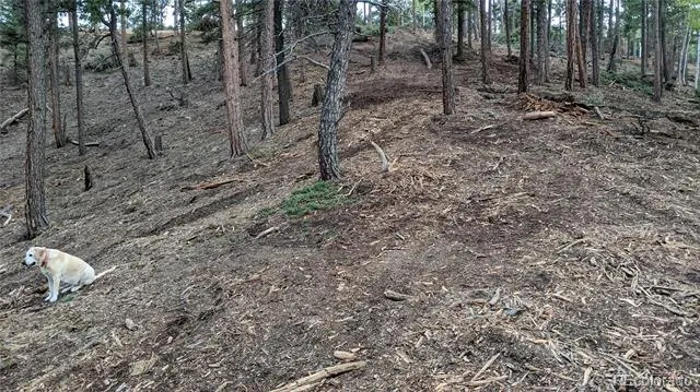 13910 Boulder Lane Larkspur, CO 80118