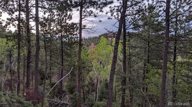 13910 Boulder Lane Larkspur, CO 80118