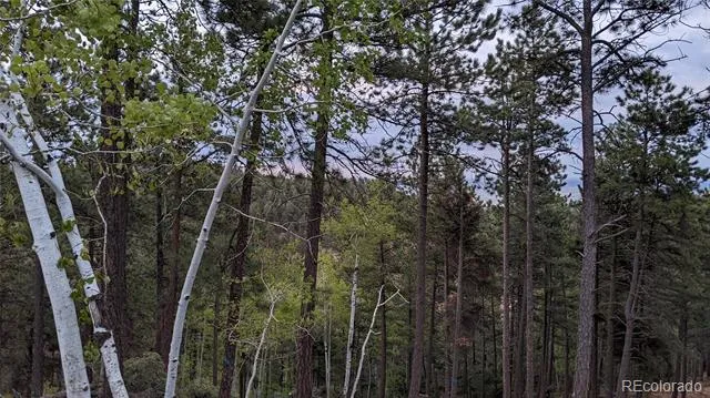 13910 Boulder Lane Larkspur, CO 80118