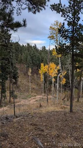 13910 Boulder Lane Larkspur, CO 80118