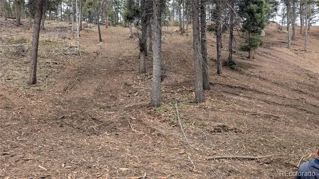 13910 Boulder Lane Larkspur, CO 80118