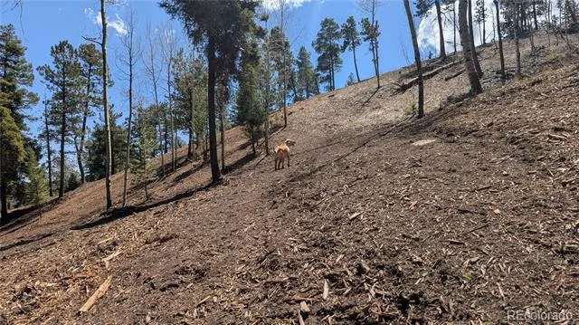13910 Boulder Lane Larkspur, CO 80118