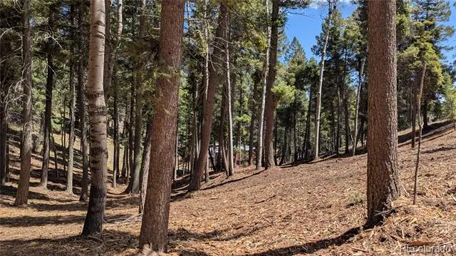 13910 Boulder Lane Larkspur, CO 80118