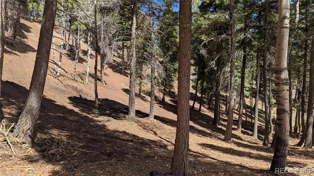 13910 Boulder Lane Larkspur, CO 80118
