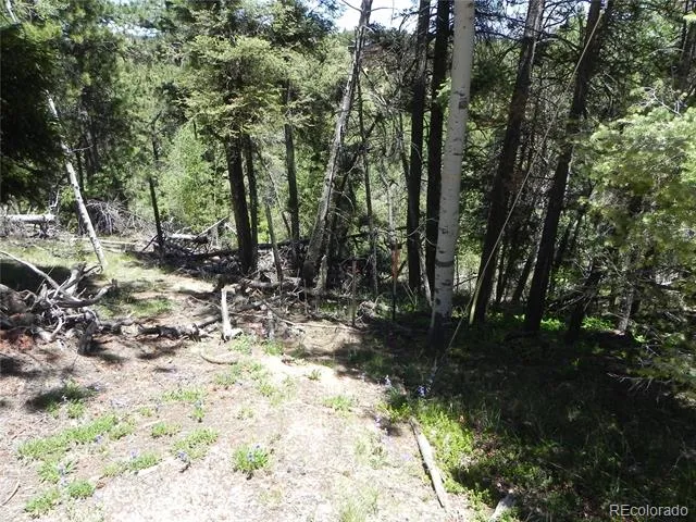 13910 Boulder Lane Larkspur, CO 80118