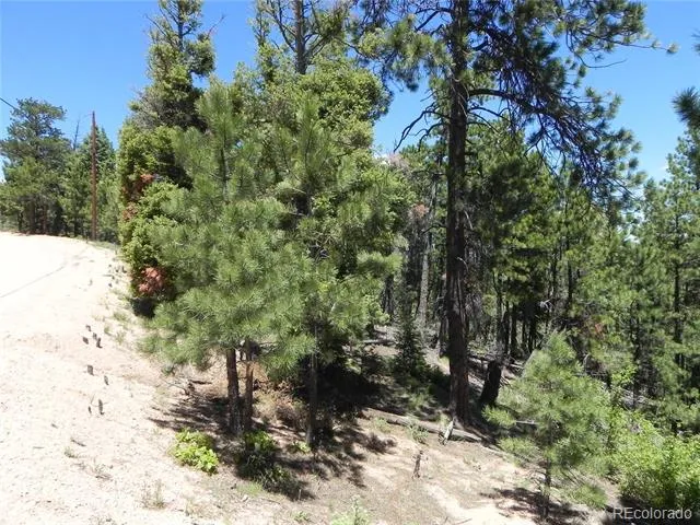 13910 Boulder Lane Larkspur, CO 80118