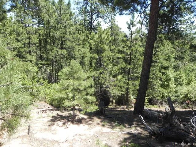13910 Boulder Lane Larkspur, CO 80118