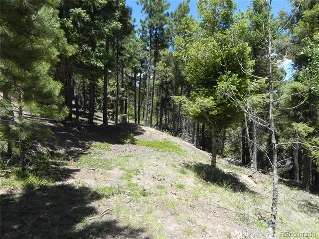 13910 Boulder Lane Larkspur, CO 80118
