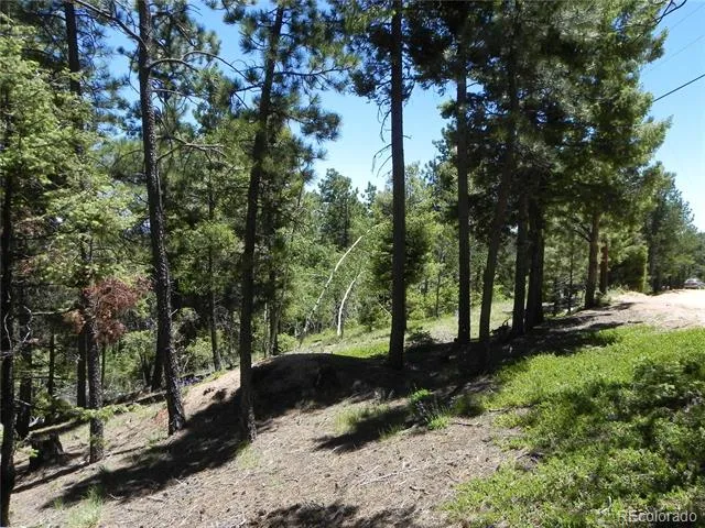 13910 Boulder Lane Larkspur, CO 80118