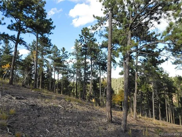 13910 Boulder Lane Larkspur, CO 80118