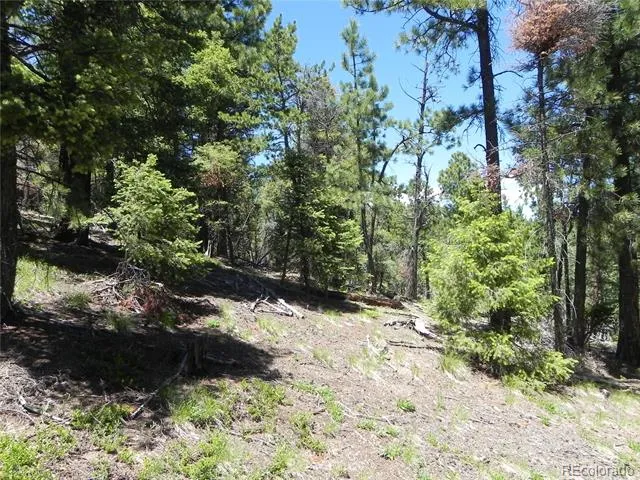 13910 Boulder Lane Larkspur, CO 80118
