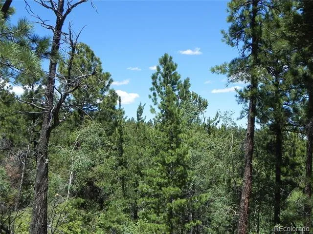 13910 Boulder Lane Larkspur, CO 80118