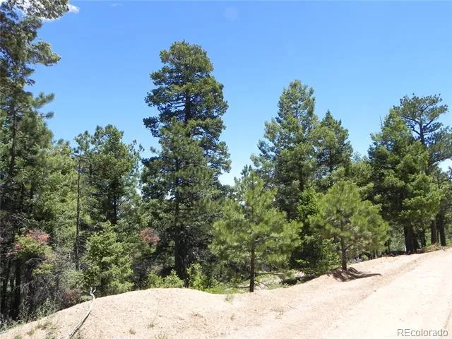 13910 Boulder Lane Larkspur, CO 80118