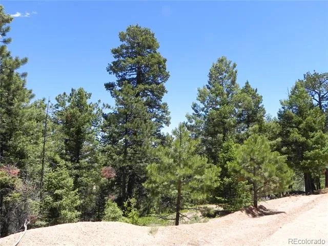 13910 Boulder Lane Larkspur, CO 80118