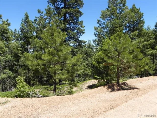 13910 Boulder Lane Larkspur, CO 80118