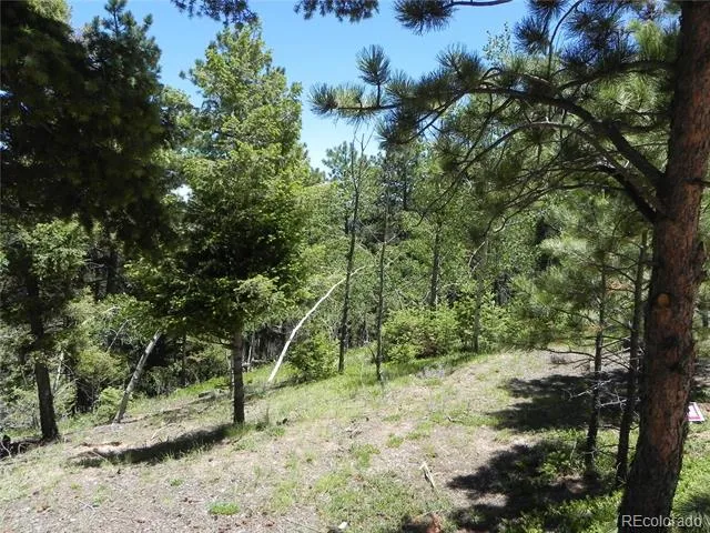 13910 Boulder Lane Larkspur, CO 80118