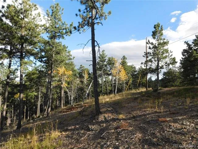 13910 Boulder Lane Larkspur, CO 80118