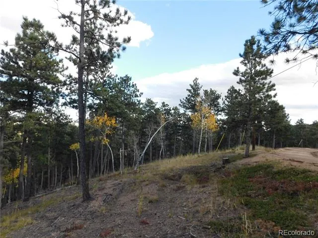 13910 Boulder Lane Larkspur, CO 80118