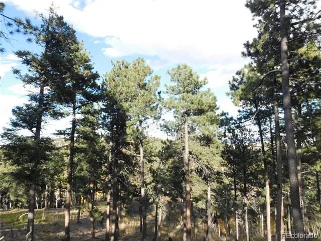 13910 Boulder Lane Larkspur, CO 80118